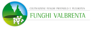 Funghi Valbrenta